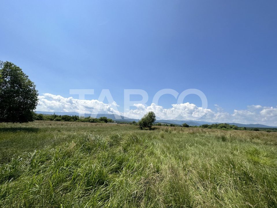 Teren intravilan 5000 mp zona Turnisor din Sibiu – fotografia 1 din 1