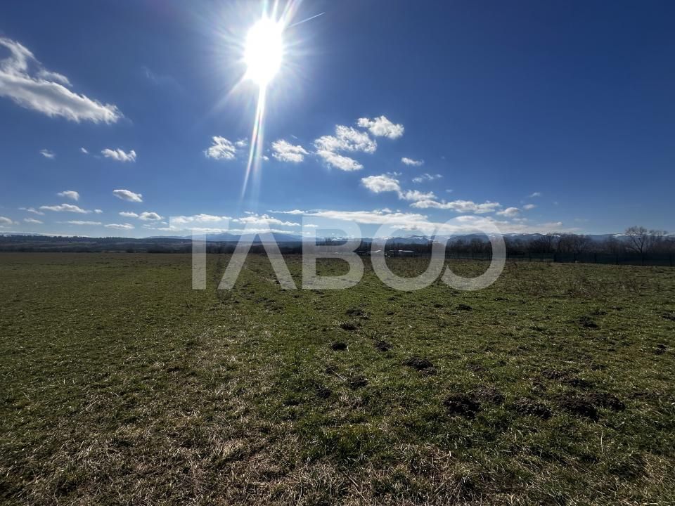 Teren de vanzare 2200 mp cu deschidere de 28 ml in Sibiu – fotografia 2 din 2