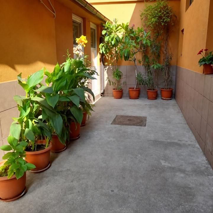Casa 3 Camere | Piata Alba Iulia | 120 mp | Renovata | Singur Curte | – fotografia 3 din 11