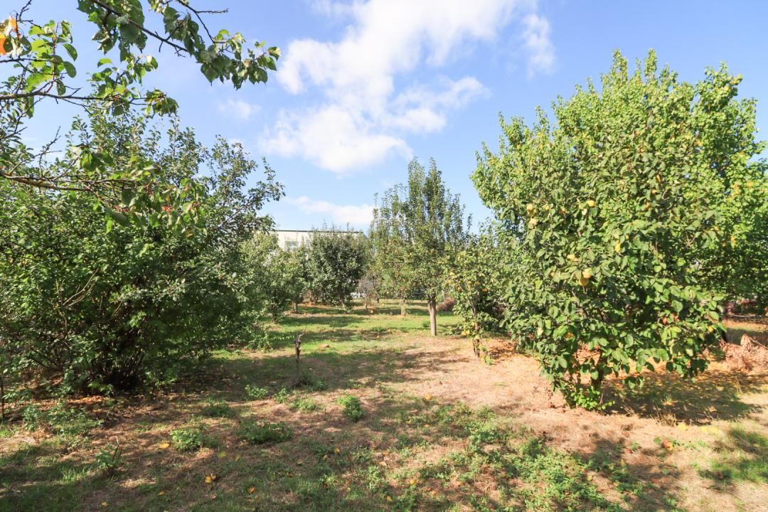 AFACERE LA CHEIE – SPAȚIU COMERCIAL | TĂMĂDĂU MARE | STRADA PRINCIPALA – fotografia 14 din 24