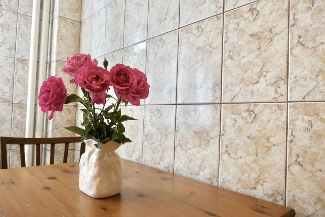 Apartamentul dintre parcuri – fotografia 6 din 16