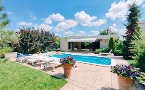 Vila Sisesti | Piscina - Garaj - Teren 1500mp | Mobilata si Utilata Premium