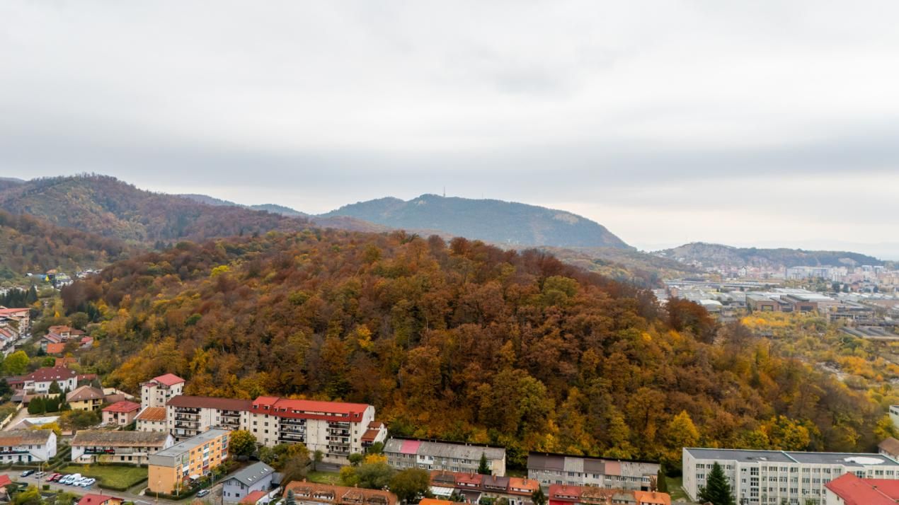 Casă cu teren de 500 mp, zona Noua – fotografia 25 din 27