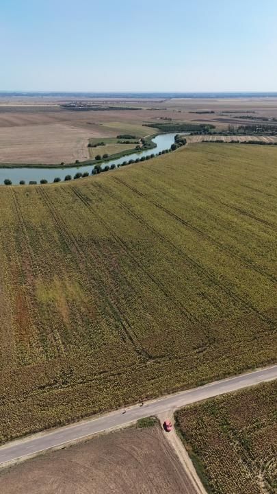 Ocazie- Terenuri in apropierea lacului Pasarea II – fotografia 3 din 4