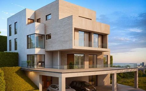 Teren 630 mp autorizat pentru duplex | Dâmbul Rotund