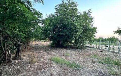Teren intravilan de vânzare – Aleea Mănăstirii  2.400 mp