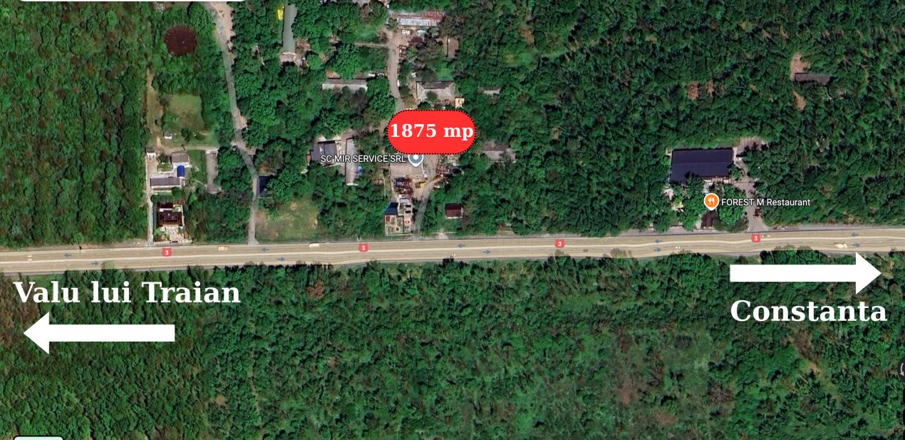 Hala 450 mp in mijlocul padurii Valu lui Traian cu teren 1875 mp – fotografia 1 din 9