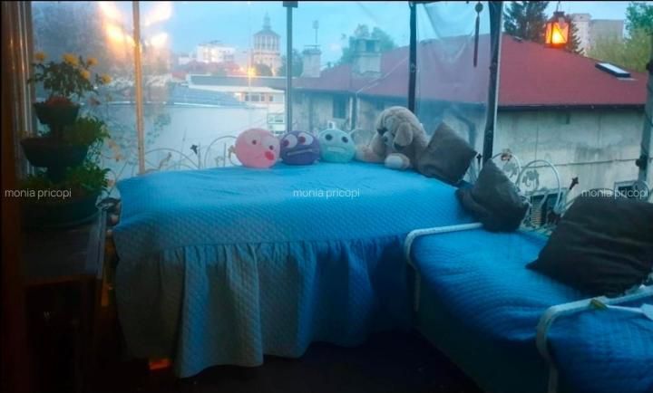3 Camere de inchiriat | Mosilor | PetFriendly | Centrala | Terasa – fotografia 8 din 9
