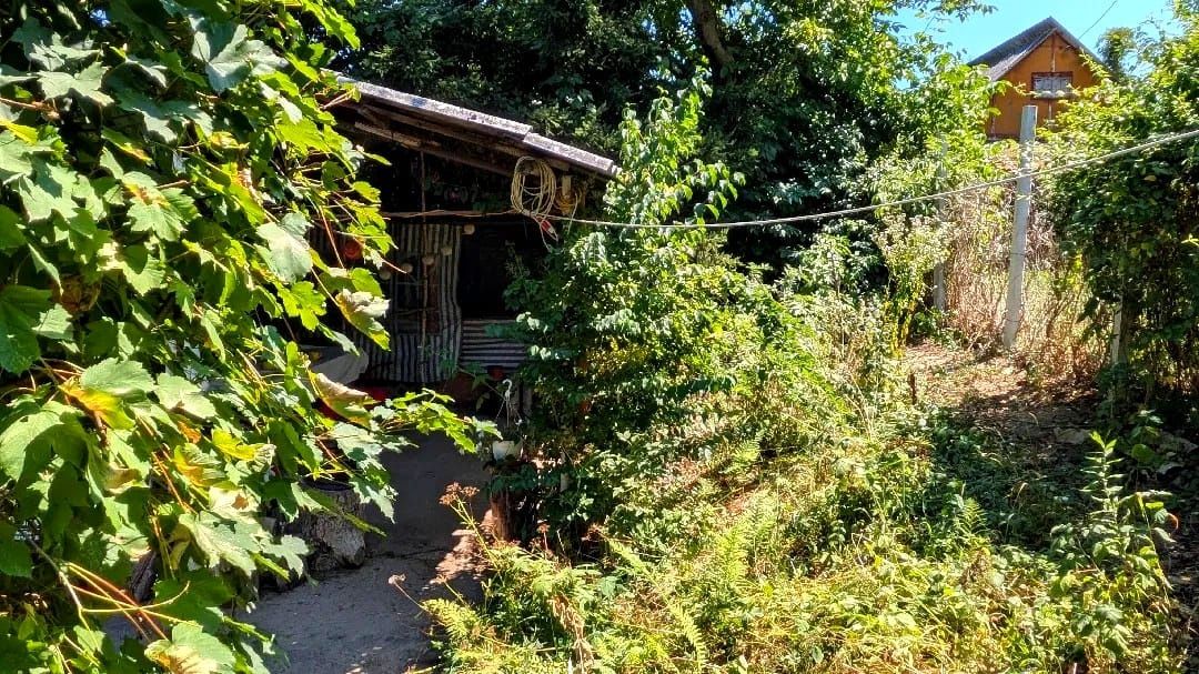 Teren intravilan Tocile, 1.093 mp / livadă, cabană, rulotă și o toamna frumoasă! – fotografia 25 din 37
