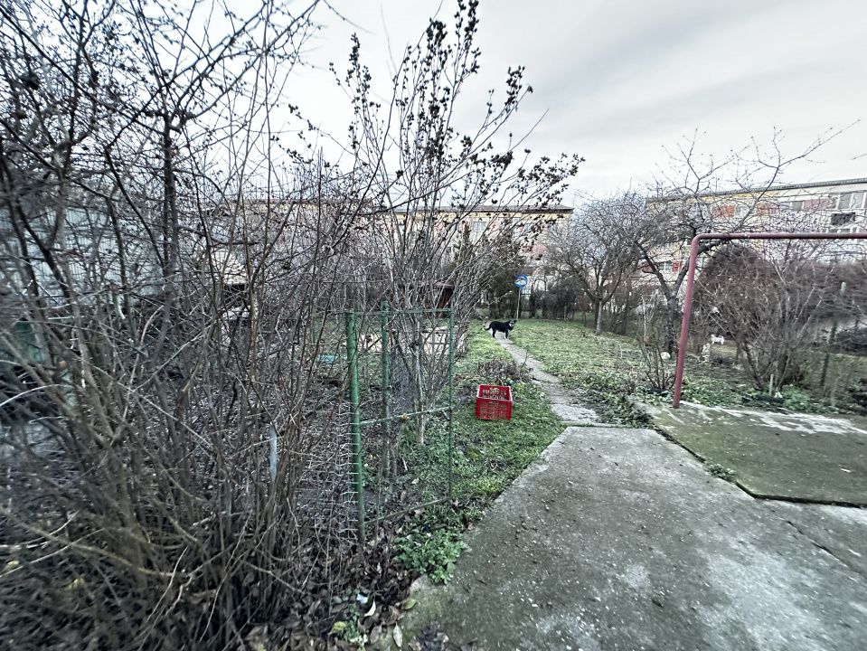 Vanzare Casa 7 Camere Renovata P+M cu 750 mp Teren acces 2 strazi topAlba CENTRU – fotografia 18 din 40