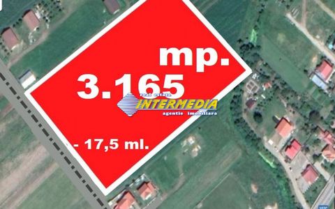Teren Intravilan Vanzare 3165 mp deschidere 17,5 m Alba - CETATE Stadion