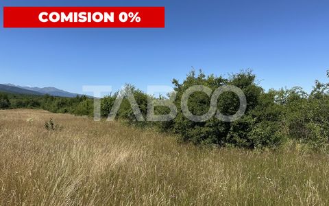Comision 0% Teren extravilan cu utilitati 2000 mp pe Valea Sebesului
