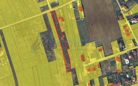 Teren intravilan de 3547 mp de vanzare in Sanmartin, Bihor