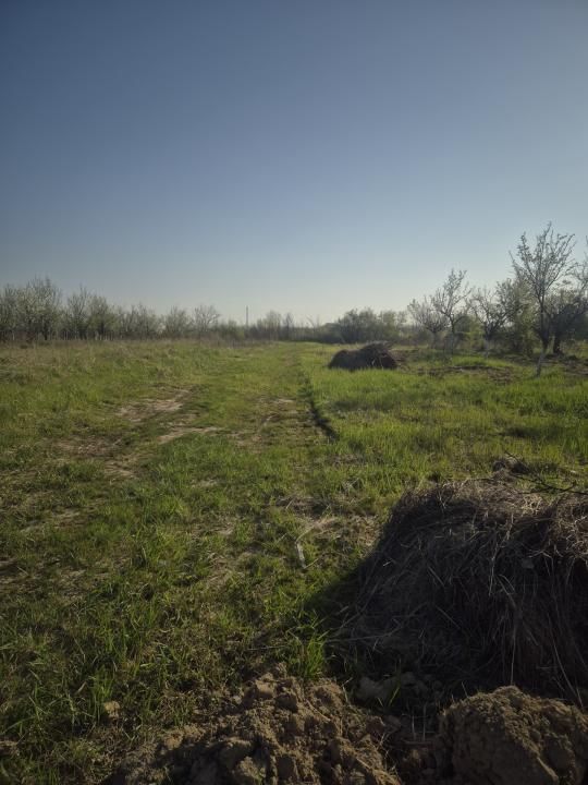 De vanzare teren la munte , in Rucar , zona Iezer Papusa, Arges, – fotografia 2 din 2