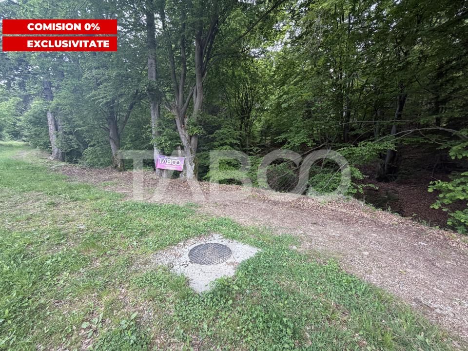 Teren intravilan 1000 mp front stradal 40 m langa Partia de Ski Dragus – fotografia 1 din 4