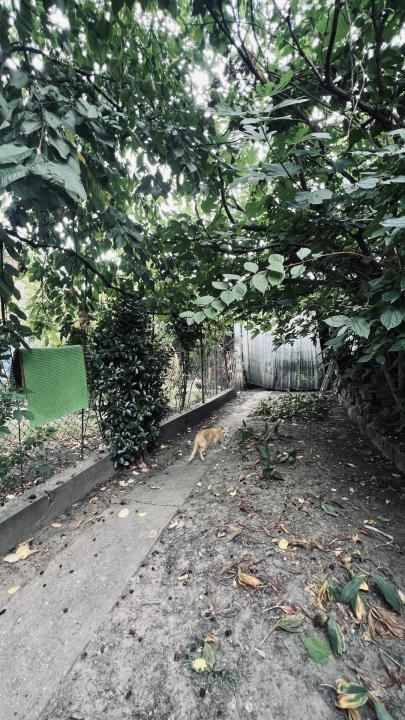 Casa individuala 6 camere, 200 mp utili, 210 mp teren - Iosefin – fotografia 9 din 25