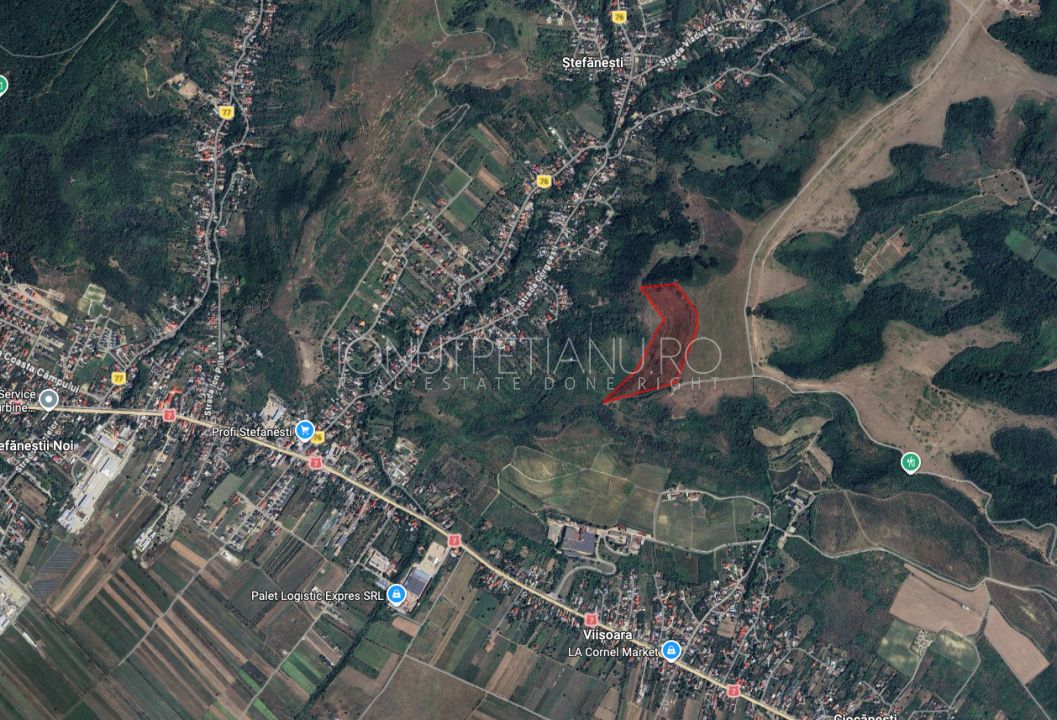Teren terasat vie defrisata Stefanesti Arges - Crama Marcea – fotografia 2 din 3