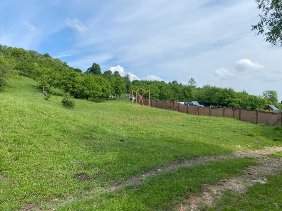 TEREN CU PANORAMĂ SPECTACULOASĂ ÎN CISNĂDIOARA – OPORTUNITATE DE INVESTIȚIE! – fotografia 7 din 15