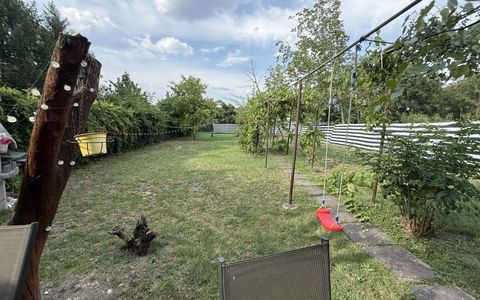 Casa 4 camere, 2 bai, 2 bucatarii, 130 mp utili, 902 mp teren  - Bogdanestilor