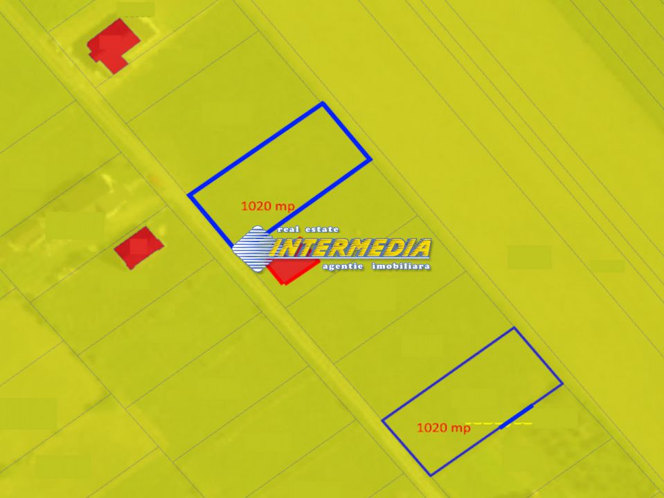 Teren intravilan de vanzare 1000mp Sard Alba, utilitati – fotografia 2 din 3