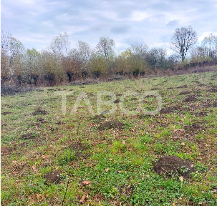 Teren intravilan pentru casa zona linistita 550 mp front 21 m Cisnadie – fotografia 3 din 7