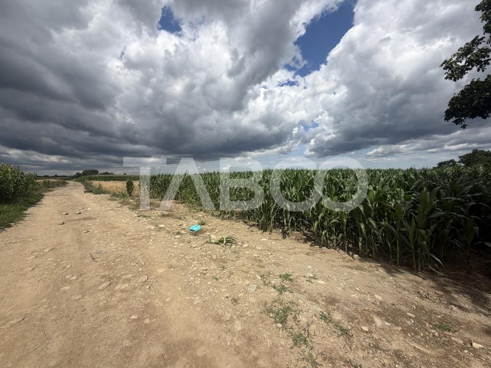 Comision 0% Teren intravilan 3934 mp toate utilitatile zona Dejani – fotografia 3 din 3
