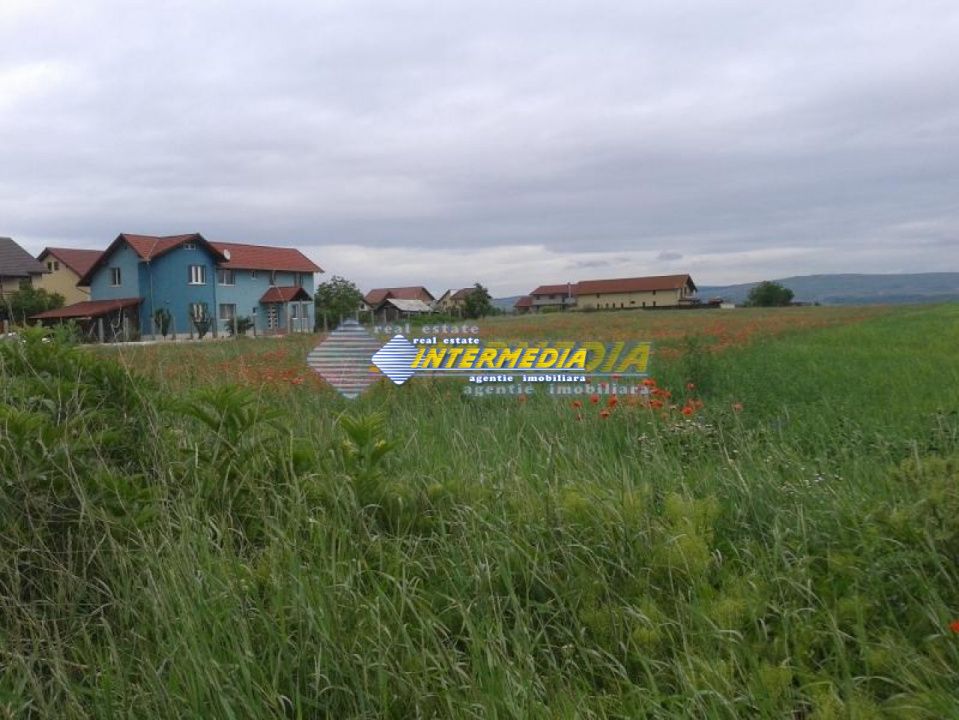 Teren intravilan 8600 mp. Alba Iulia Zona Cetate parcelabil – fotografia 1 din 3