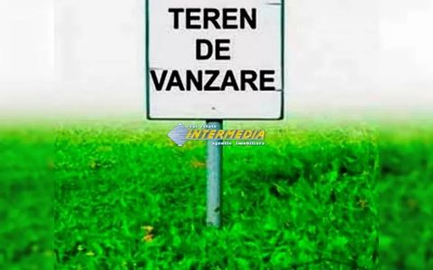 TEREN INTRAVILAN I DE VANZARE I 1087 MP I COSLARIU I LA DRUM ASFALTAT I