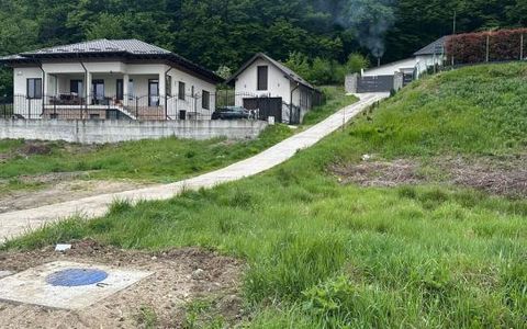 TEREN PREMIUM CU VEDERE SPECTACULOASA LA LIZIERA PADURII | BASCOV | 807 MP |