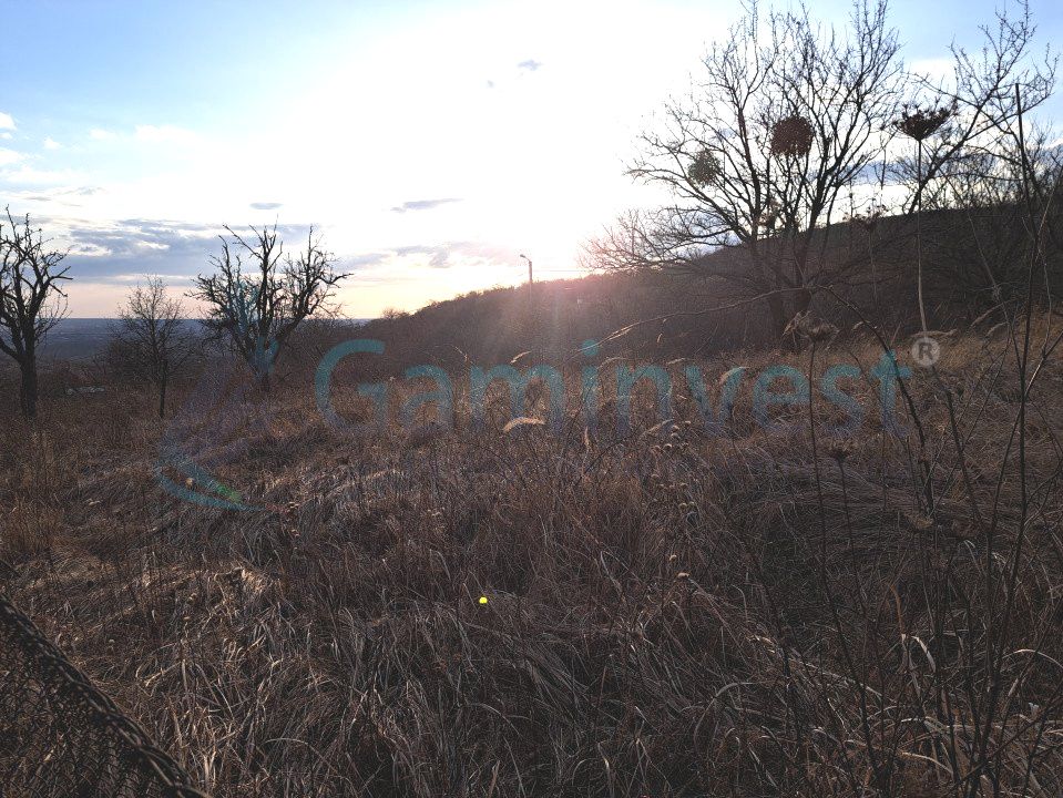 Teren intravilan de 3250 mp in Podgoria, de vanzare, Bihor – fotografia 1 din 2