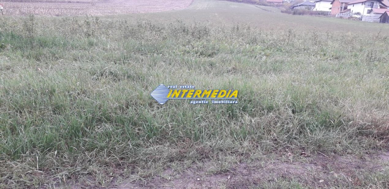 Teren intravilan de vanzare 9000 mp zona Micesti Sard – fotografia 2 din 2