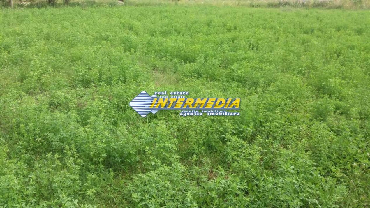 Teren intravilan de vanzare Partos – fotografia 4 din 4