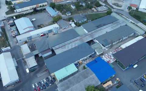Oportunitate de investiție - Hale Industriale cu Randament ridicat in zona Borș