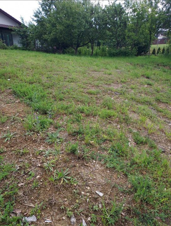 Teren 1.195 mp zona Faget – fotografia 1 din 8