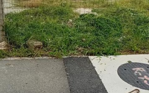 Vanzare teren 834mp Cernica,Tanganu, utilitati, strada asfaltata cu trotuar
