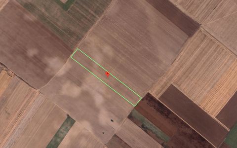 Teren Extravilan In Rate Primaverii Com. Berceni | 12.576mp | #EG41