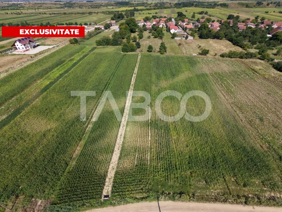 Teren intravilan 2000 mp si extravilan 1150 mp de vanzare in Vad – fotografia 1 din 6