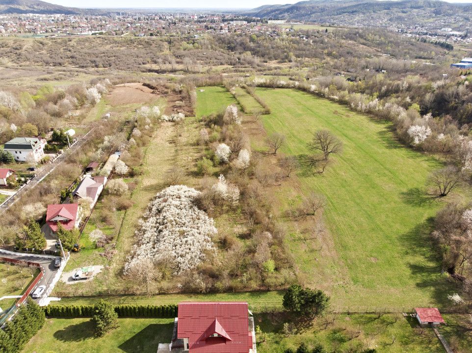 Mountain Plateau - 23.345 SQM - Exclusive Estate | Jud Prahova - Valea Prahovei – fotografia 5 din 10