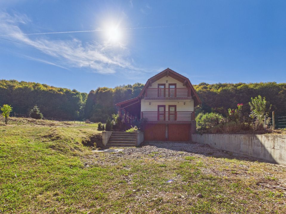 Cabana Valea Dobarlaului, 2 garaje, 4648mp teren – fotografia 33 din 33