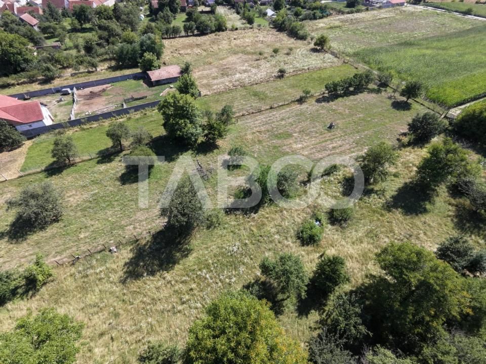 Teren intravilan 2000 mp si extravilan 1150 mp de vanzare in Vad – fotografia 5 din 6