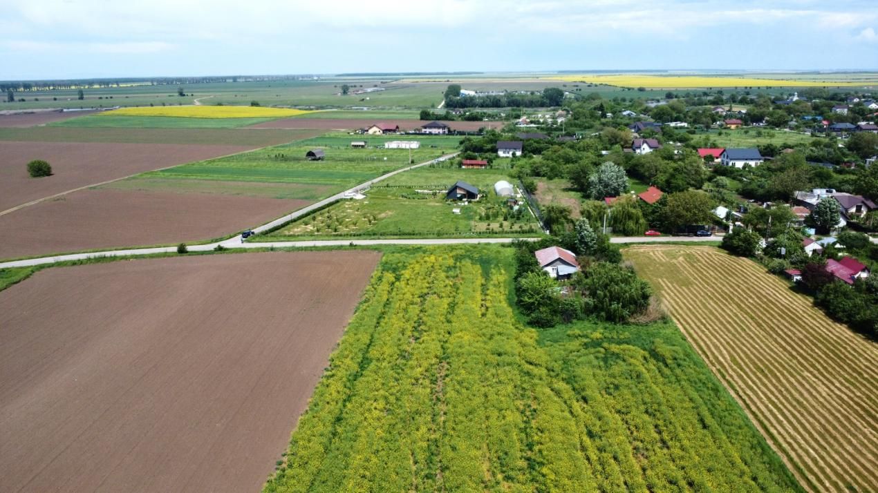 Oportunitate Investiție/Construcție: Loturi 400mp Creața(Dascălu) | Acces DC185 – fotografia 6 din 13