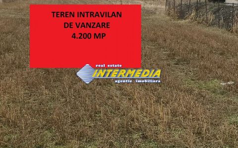 Teren intravilan 4200 mp de vanzare Alba Micesti cu utiliati langa