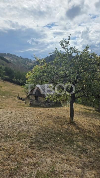 Teren de vanzare 8.300 mp Plesi Loman judetul Alba – fotografia 10 din 10