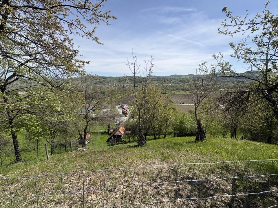 14.613 mp teren | Casă la roșu și 2 case tradiționale | 1,5 km de A1 Tigveni – fotografia 2 din 10