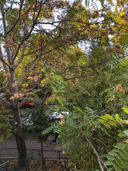 Garsonieră 25 mp | Metrou Aurel Vlaicu | Aviației | Șoseaua Pipera – fotografia 12 din 12