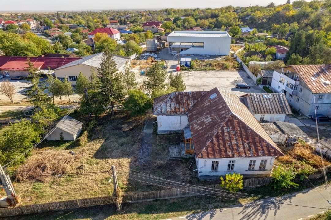 Conac Boieresc | Cramă | Ceptura de Jos – fotografia 41 din 42