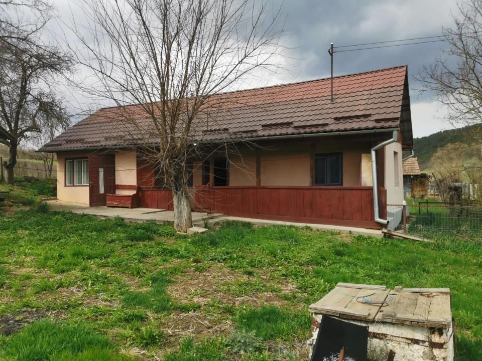 Casa individuala 100mp cu teren 8000mp – fotografia 15 din 21