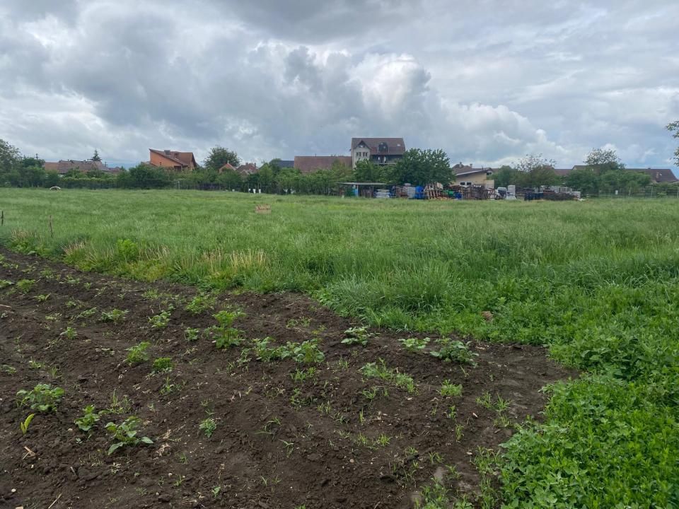 Teren intravilan in mun Sibiu, 556 mp, pretabil constructie casa individuala. – fotografia 2 din 2