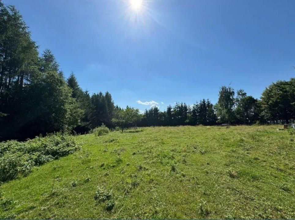 Teren intravilan 5.755 mp | Zona Muzeul Satului Maramureșean, Sighetu Marmației – fotografia 1 din 6