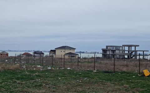 Anunturi vanzari terenuri in Palazu Mare